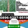 Gudang Rumput Plastik Medan Tembung.jpg