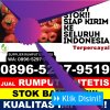 Jual Rumput Sintetis Ternate Selatan.jpg