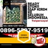 Agen Rumput Imitasi Ciseeng.jpg