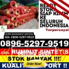 Penjual Rumput Palsu Rikit Gaib.jpg