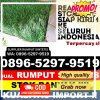 Distributor Rumput Sintetis Kanigoro.jpg