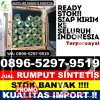 Grosir Rumput Palsu Cikalongkulon.jpg