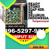 Jual Rumput Plastik Cicalengka.jpg