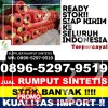 Penjual Rumput Palsu Sabak Auh.jpg