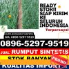 Distributor Rumput Palsu Mumbulsari.jpg