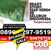 Distributor Rumput Sintetis Karangdadap.jpg