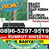 Distributor Rumput Palsu Naringgul.jpg