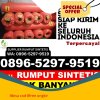 Grosir Rumput Plastik Waluran.jpg