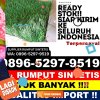 Agen Rumput Imitasi Dusun Timur.jpg