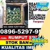 Jual Rumput Plastik Cipedes.jpg