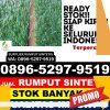 Gudang Rumput Plastik Muncar.jpg