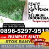 Distributor Rumput Sintetis Kedungtuban.jpg