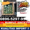 Jual Rumput Plastik Ciwaru.jpg