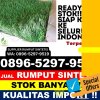 Pusat Rumput Palsu Kejajar.jpg