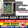 Jual Rumput Plastik Dander.jpg