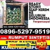 Grosir Rumput Sintetis Aek Kuasan.jpg