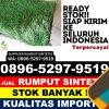 Agen Rumput Imitasi Gubug.jpg