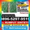 Distributor Rumput Sintetis Kindang.jpg