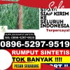 Penjual Rumput Sintetis Medan Marelan.jpg