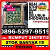 Agen Rumput Plastik Arcamanik.jpg