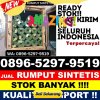 Grosir Rumput Sintetis Alian.jpg