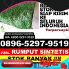 Jual Rumput Plastik Driyorejo.jpg