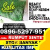 Jual Rumput Imitasi Kalinyamatan.jpg