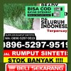 Jual Rumput Plastik Eromoko.jpg