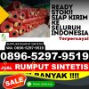 Distributor Rumput Palsu Pangean.jpg