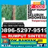 Distributor Rumput Sintetis Kota Gunungsitoli.jpg