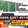 Penjual Rumput Sintetis Mesuji Timur.jpg