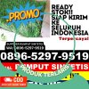 Jual Rumput Imitasi Kandat.jpg