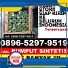 Grosir Rumput Sintetis Babah Rot.jpg