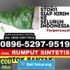 Jual Rumput Plastik Gane Timur Selatan.jpg