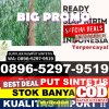 Penjual Rumput Sintetis Mojosari.jpg