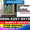 Penjual Rumput Imitasi Awang.jpg