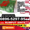 Agen Rumput Imitasi Jambi Timur.jpg