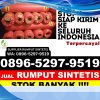 Penjual Rumput Palsu Simanindo.jpg