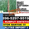 Distributor Rumput Sintetis Kota Tarakan.jpg