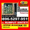 Grosir Rumput Sintetis Balikpapan Utara.jpg