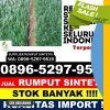 Distributor Rumput Sintetis Kramatwatu.jpg