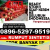 Gudang Rumput Plastik Panton Reu.jpg