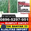 Penjual Rumput Sintetis Nanga Tayap.jpg