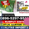 Jual Rumput Imitasi Kedunggalar.jpg