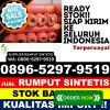 Agen Rumput Sintetis Semendawai Suku Iii.jpg