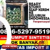 Grosir Rumput Sintetis Banjarmangu.jpg