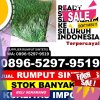 Jual Rumput Plastik Gunungsitoli Alo Oa.jpg