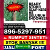 Distributor Rumput Sintetis Kuta Malaka.jpg