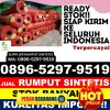 Penjual Rumput Sintetis Ngaringan.jpg