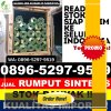 Grosir Rumput Sintetis Banyuke Hulu.jpg